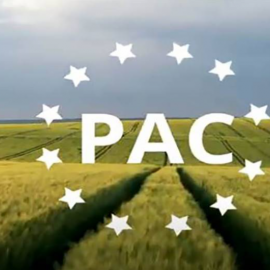 UGAMA, informa que ya está abierta la “consulta pública de los derechos de pago básico” en la página web del FEGA 