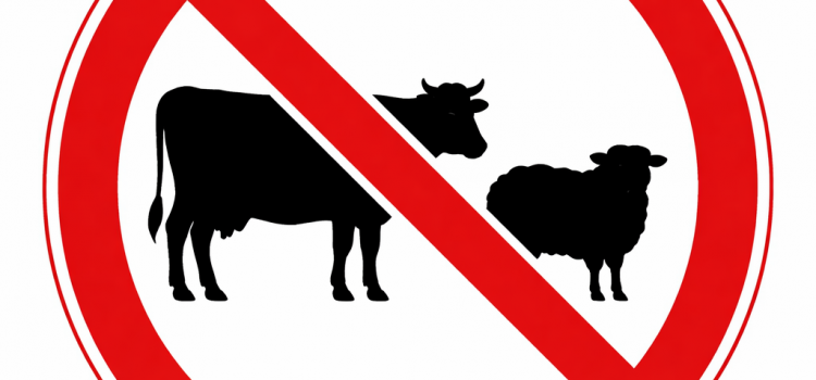 UGAMA y la Asociación de Ganaderos de Colmenar Viejo frenan una ordenanza que el sector consideraba un atropello burocrático