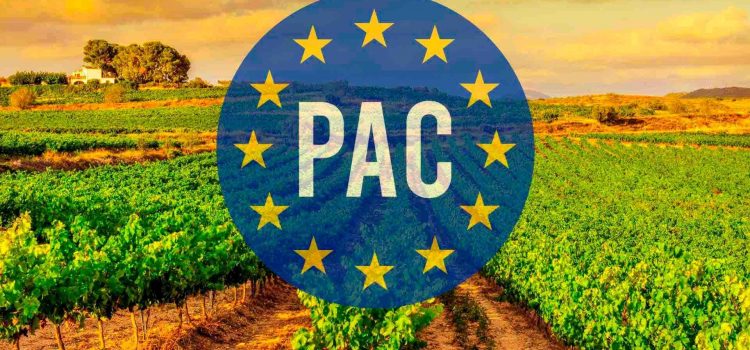 Volvemos a pedir al MAPA que suavice la exigencia de incluir el NIF de los arrendadores en las solicitudes de la PAC